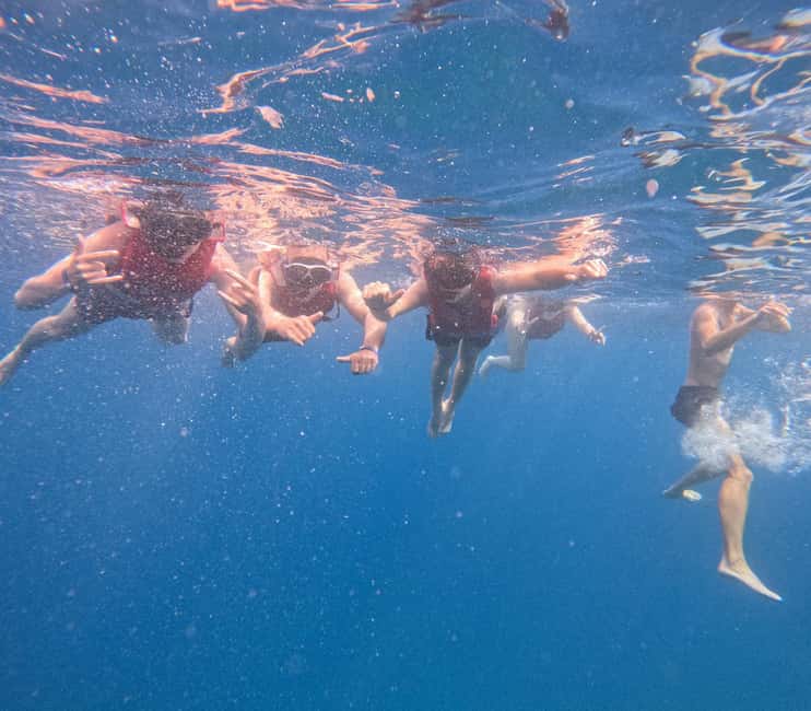 Tenerife: Kayak and Snorkeling Tour with Marine Life - What’s Included (and What You’ll Need to Pay For Yourself)