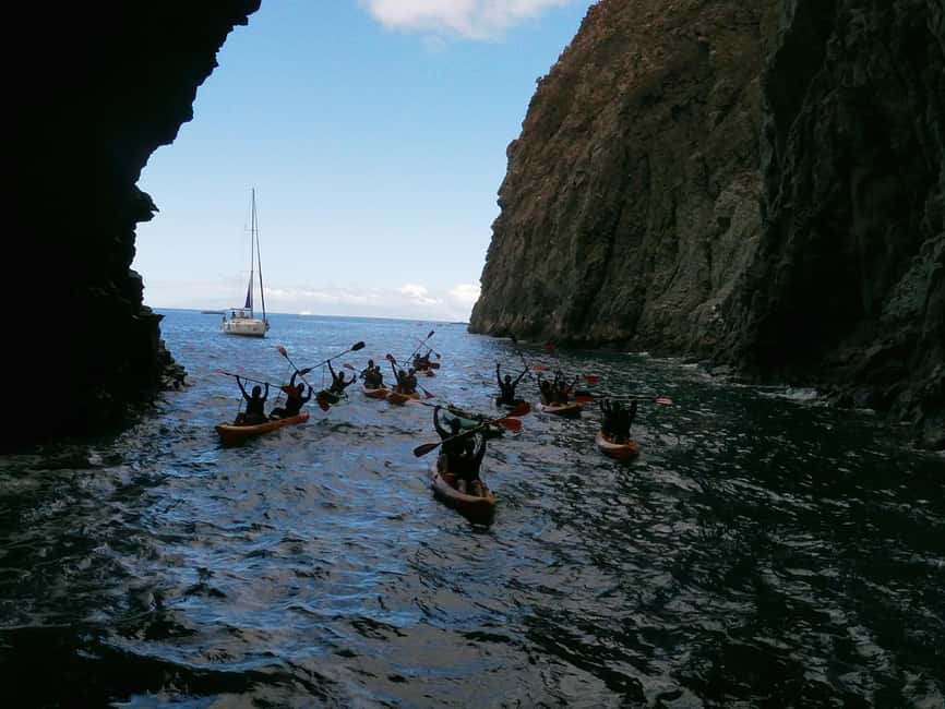 Tenerife: Kayak and Snorkeling Tour with Marine Life - Languages and Guides: Marco’s Style Is Part of the Appeal