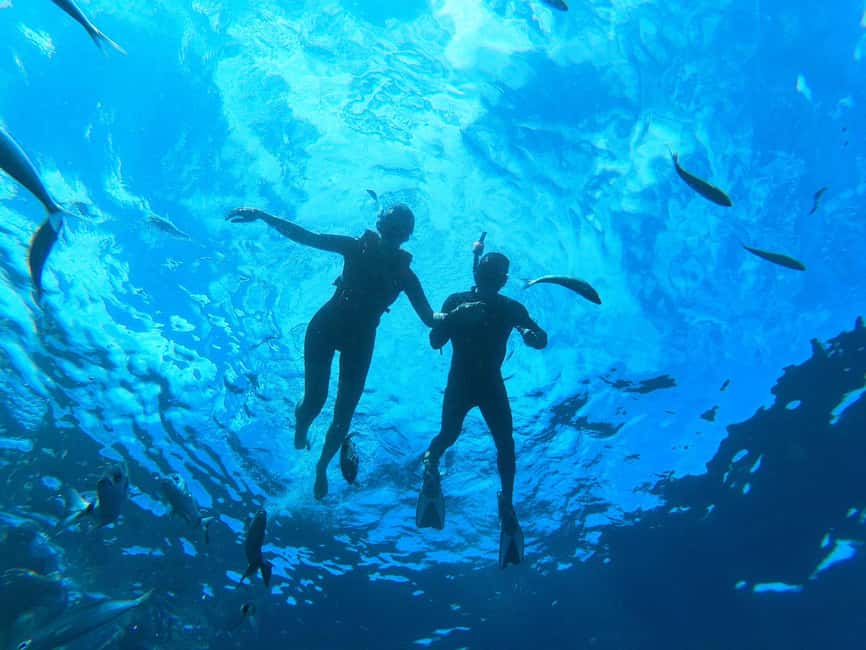 Tenerife: Kayak and Snorkeling Tour with Marine Life - Who This Tour Fits Best (and Who Should Skip It)