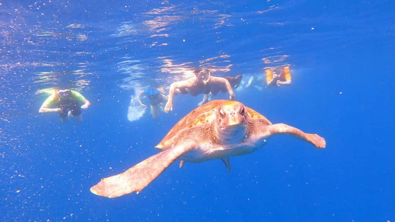Tenerife: Kayak and Snorkeling Tour with Photos - Los Cristianos kayak route: the “local” feeling you’re paying for