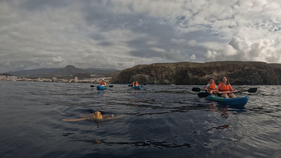 Tenerife: Kayak and Snorkeling Tour with Photos - Paddling out of the sandy beach: getting comfortable fast