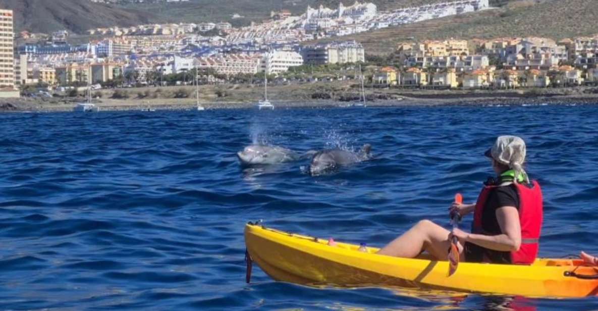 Tenerife: Kayak Safari and Sea Turtle Snorkeling with Photos - Stop-by-stop: what happens on the water and why it’s timed that way