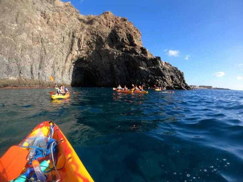 Tenerife: Kayak & Snorkel Tour with Snacks & Sea Life Safari - Key highlights at a glance