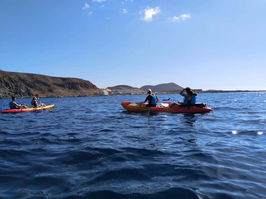 Tenerife: Kayak & Snorkel Tour with Snacks & Sea Life Safari - Should you book this Tenerife sea-life safari?
