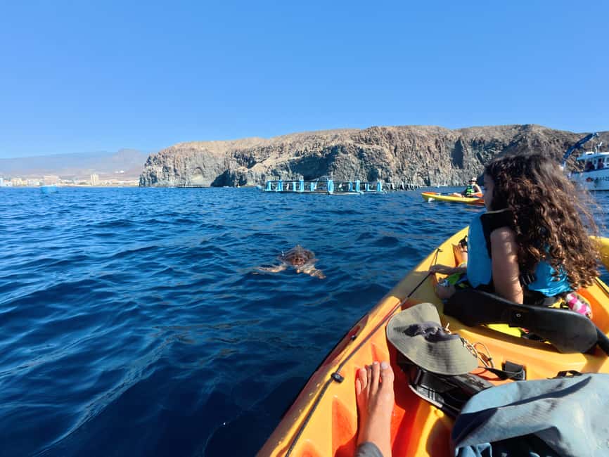Tenerife: Kayak & Snorkel Tour with Snacks & Sea Life Safari - What snorkeling feels like here (and what to expect)