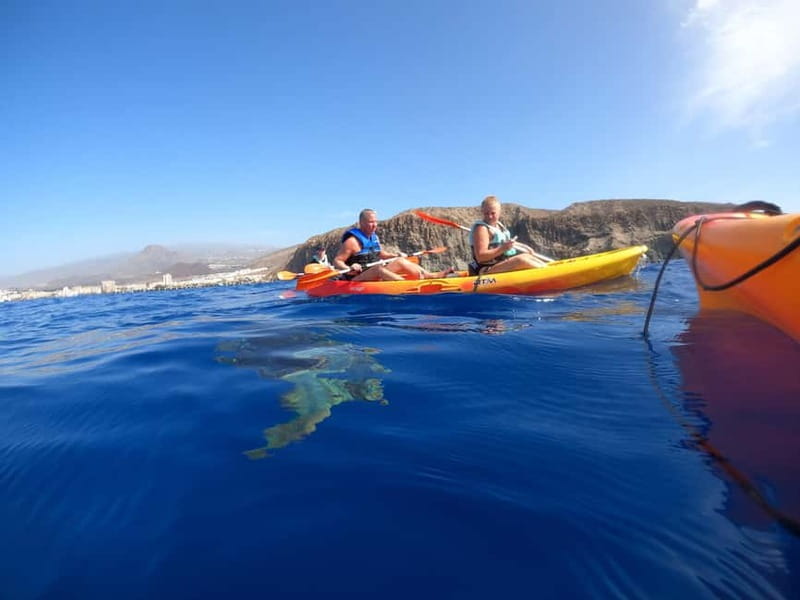 Tenerife: Kayak & Snorkel Tour with Snacks & Sea Life Safari - Price and value: is $30 really fair?