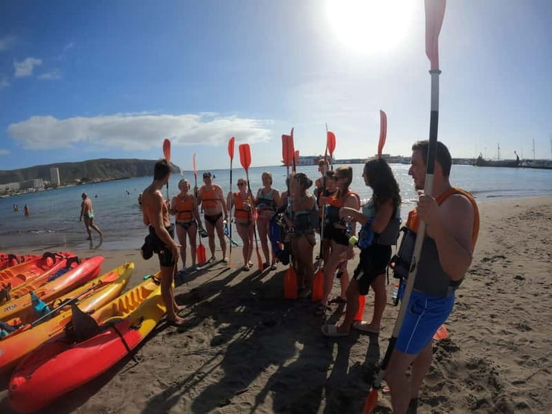 Tenerife: Kayak & Snorkel Tour with Snacks & Sea Life Safari - Tips to keep your trip comfortable and low-stress