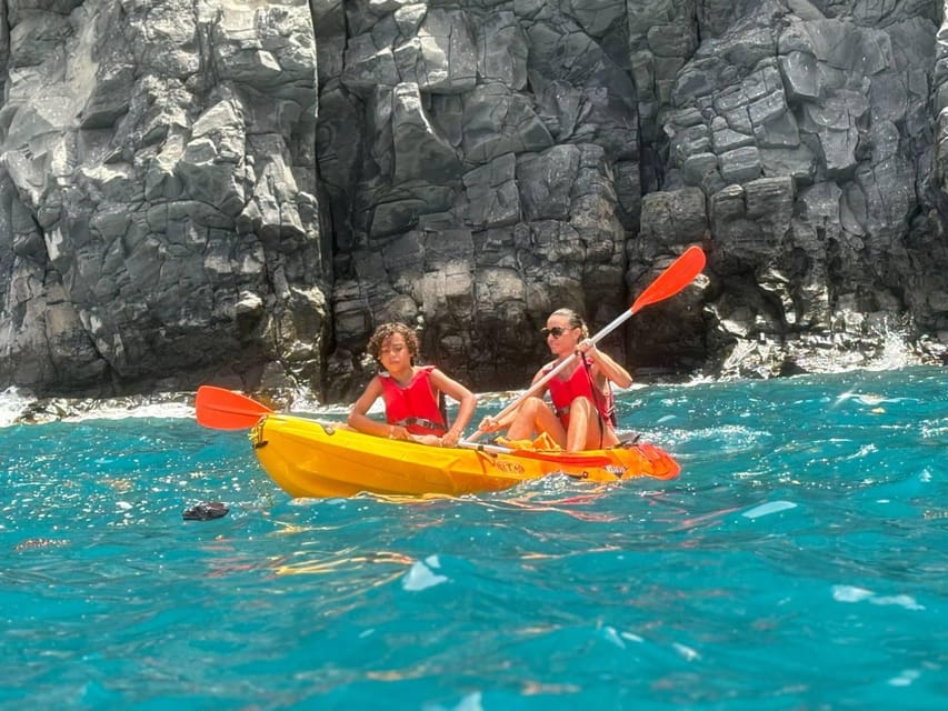 Tenerife: Kayak & Snorkeling, Marine Fauna Watching - Practical Tips for Getting Better Wildlife Sightings