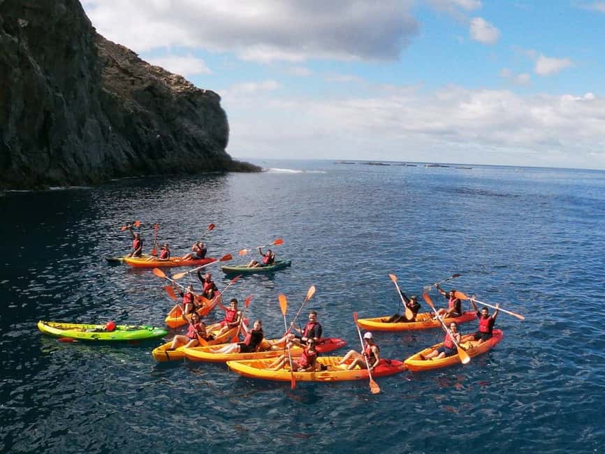 Tenerife: Kayak & Snorkeling, Marine Fauna Watching - Should You Book This Tenerife Kayak and Snorkeling Ecotour?