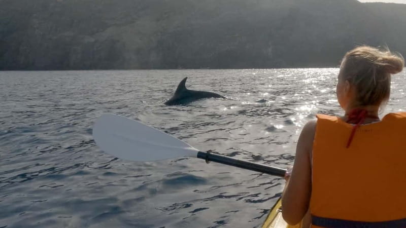 Tenerife: Kayak & Snorkeling Tour - Small Groups - Snorkeling stop: gear provided, coaching included, water temps matter