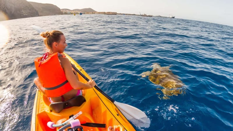 Tenerife: Kayak & Snorkeling Tour - Small Groups - Should you book SeaThru-Kayaks Tenerife for kayak and snorkeling?