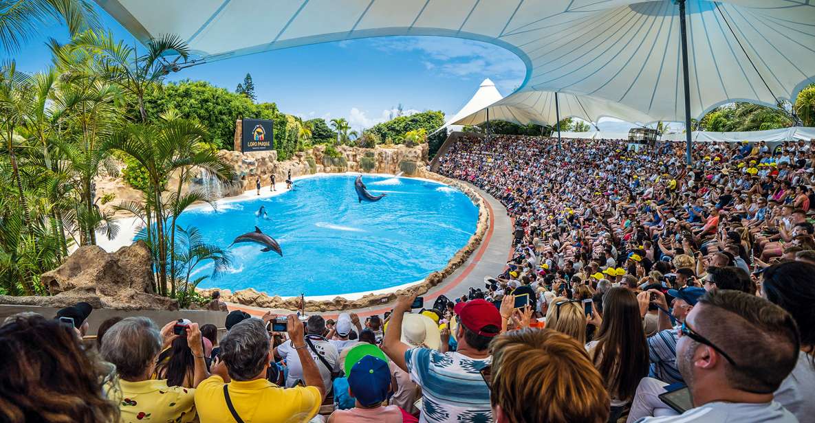 Tenerife: Loro Parque Entry Ticket - Getting to the entrance without stress (and why maps can still fool you)