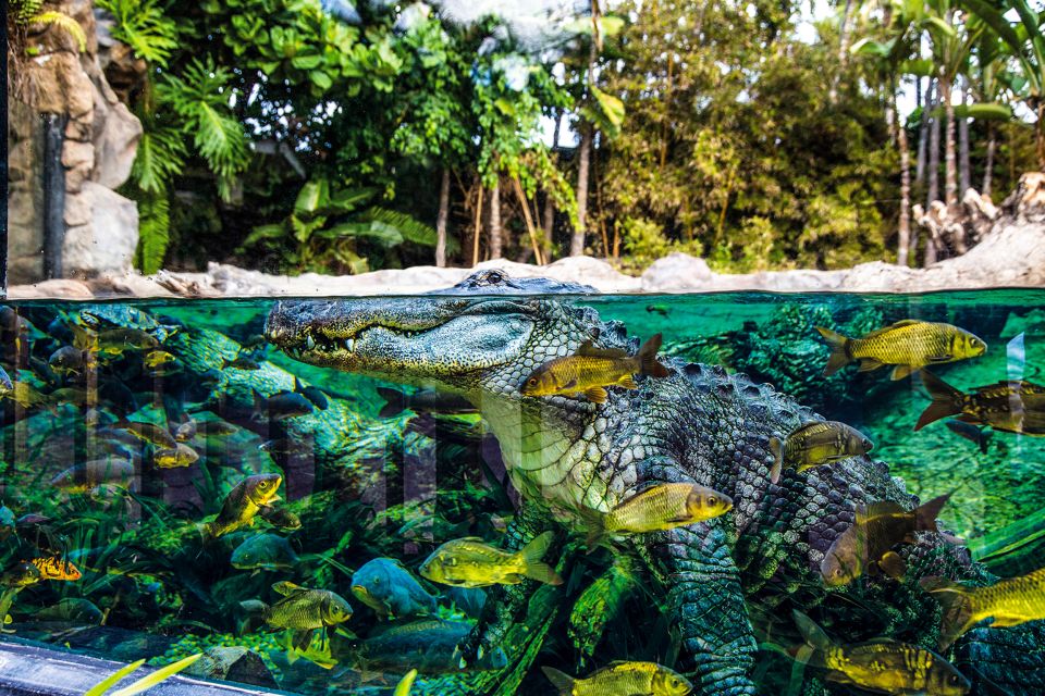 Tenerife: Loro Parque Entry Ticket - Thai architecture and tropical gardens: the part you’ll remember later