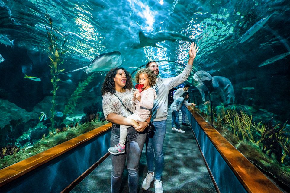 Tenerife: Loro Parque Entry Ticket - Food at Brunelli’s Steakhouse and across the park