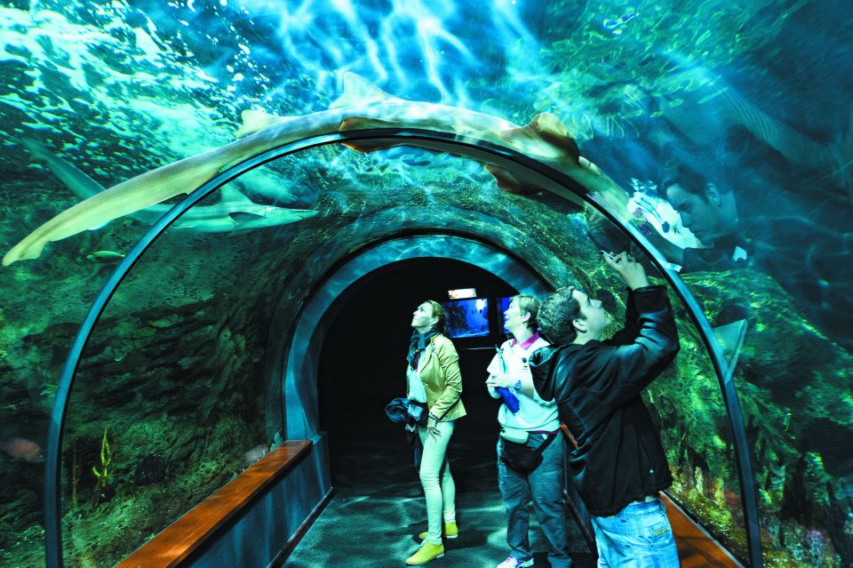 Tenerife: Loro Parque & Siam Park Entry Ticket with Transfer - Siam Park: Thailand-Themed Water Slides and How to Beat the Lines