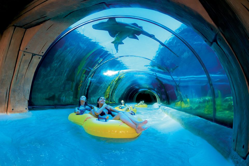 Tenerife: Loro Parque & Siam Park Entry Ticket with Transfer - Price Check: Is $115 Good Value for Two Parks?