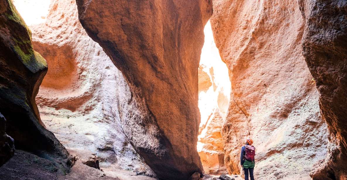 Tenerife: Los Arcos Canyoning Tour with Guide - Why Los Arcos canyoning feels different in Tenerife