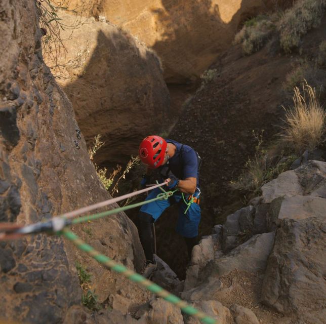 Tenerife: Los Arcos Canyoning Tour with Guide - The 45-minute approach: forest track, then the canyon begins