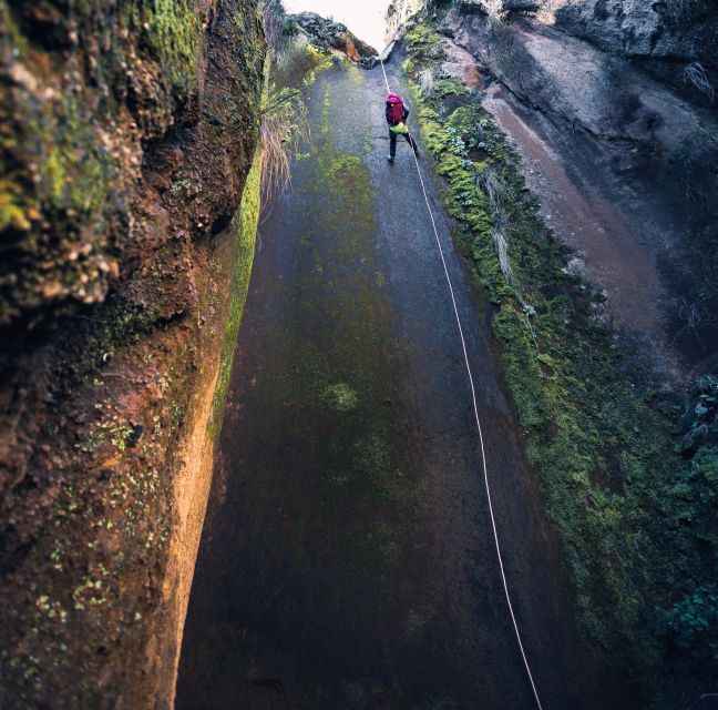 Tenerife: Los Arcos Canyoning Tour with Guide - Eight rappels in an ash-and-erosion canyon