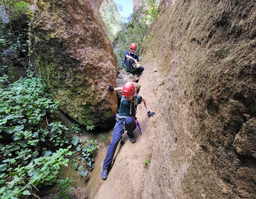 Tenerife: Los Arcos Canyoning Tour with Guide - Hidden corners, mossy walls, and the kind of views you remember
