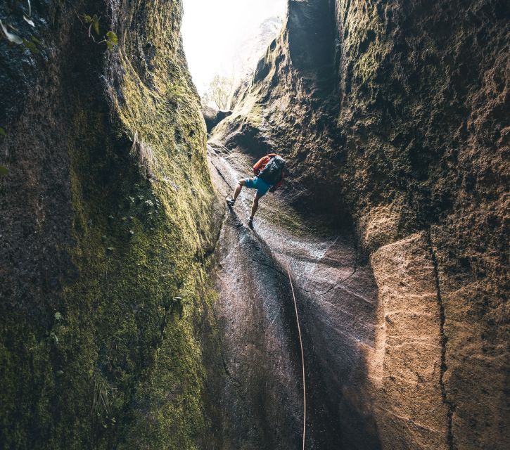 Tenerife: Los Arcos Canyoning Tour with Guide - What you get for $82: value that’s more than the thrill