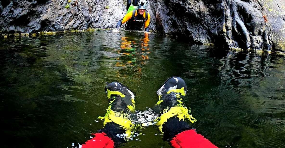 Tenerife: Los Carrizales Water Canyoning Tour - Price and value: is $157 per person fair?