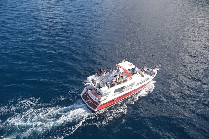 Tenerife Los Cristianos: Whale and Dolphin Eco-Yacht and Swim Stop - What You’ll Do at Sea: Cruising, Cave of Love, and Spotting Wildlife