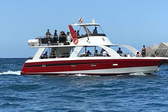 Tenerife Los Cristianos: Whale and Dolphin Eco-Yacht and Swim Stop - Value Check: Is $18.10 Worth It for 1 Hour 40?
