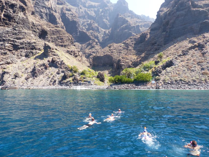 Tenerife: Los Gigantes Whale Watching Cruise by Sail Boat - Who should book this Tenerife cruise?