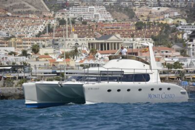 Tenerife: Marine-Life Tour with Transfer, Buffet and Drinks - Board the Monte Cristo Catamaran: Comfort and the Small-Group Feel