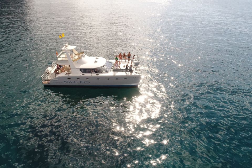 Tenerife: Marine-Life Tour with Transfer, Buffet and Drinks - Views Along the Coast: Why This Sail Beats a Bus Excursion