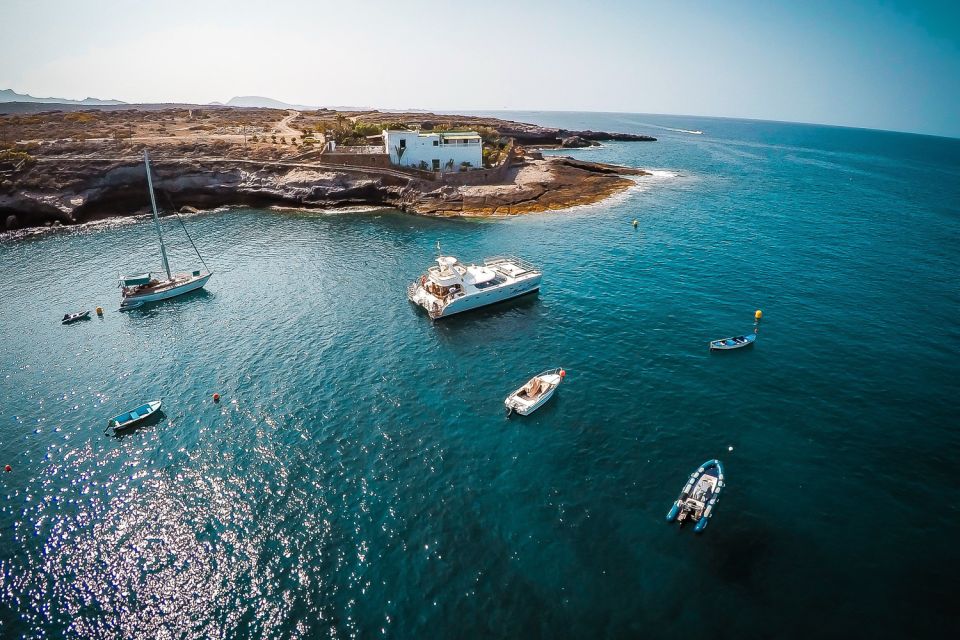 Tenerife: Marine-Life Tour with Transfer, Buffet and Drinks - Price and Value: Is $69 Actually Fair?