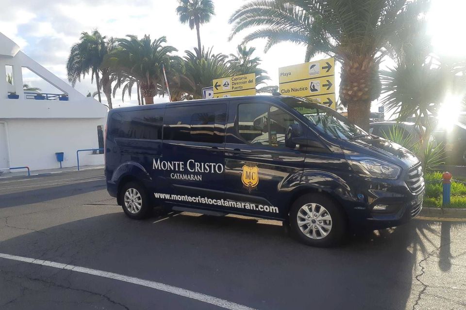 Tenerife: Marine-Life Tour with Transfer, Buffet and Drinks - Timing, Weather, and What to Pack for a 3-Hour Sea Day