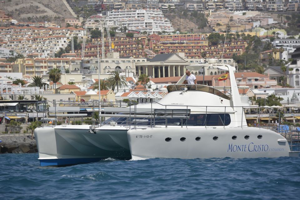 Tenerife: Marine-Life Tour with Transfer, Buffet and Drinks - Board the Monte Cristo Catamaran: Comfort and the Small-Group Feel