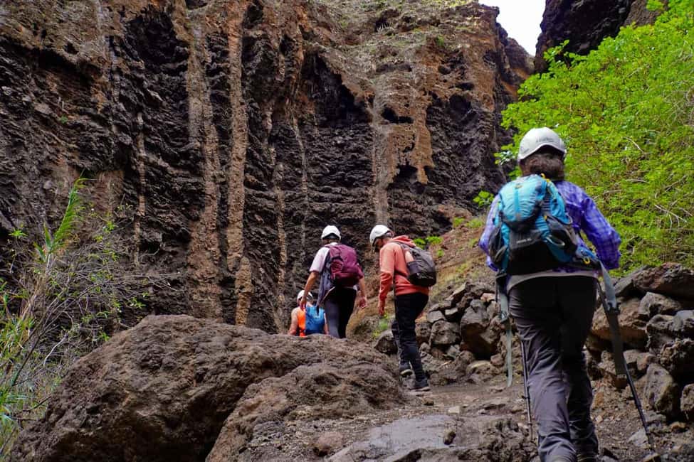 Tenerife : Masca ravine: Descent & boat trip - Masca in a Nutshell: the 5 things you should know