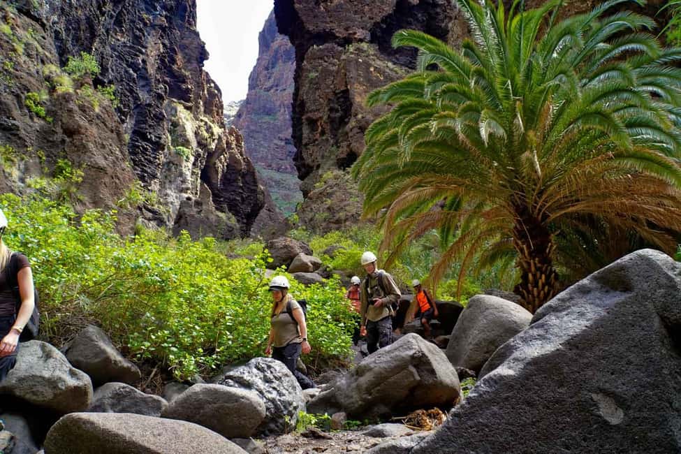 Tenerife : Masca ravine: Descent & boat trip - Entering Barranco de Masca: why this ravine is worth the effort