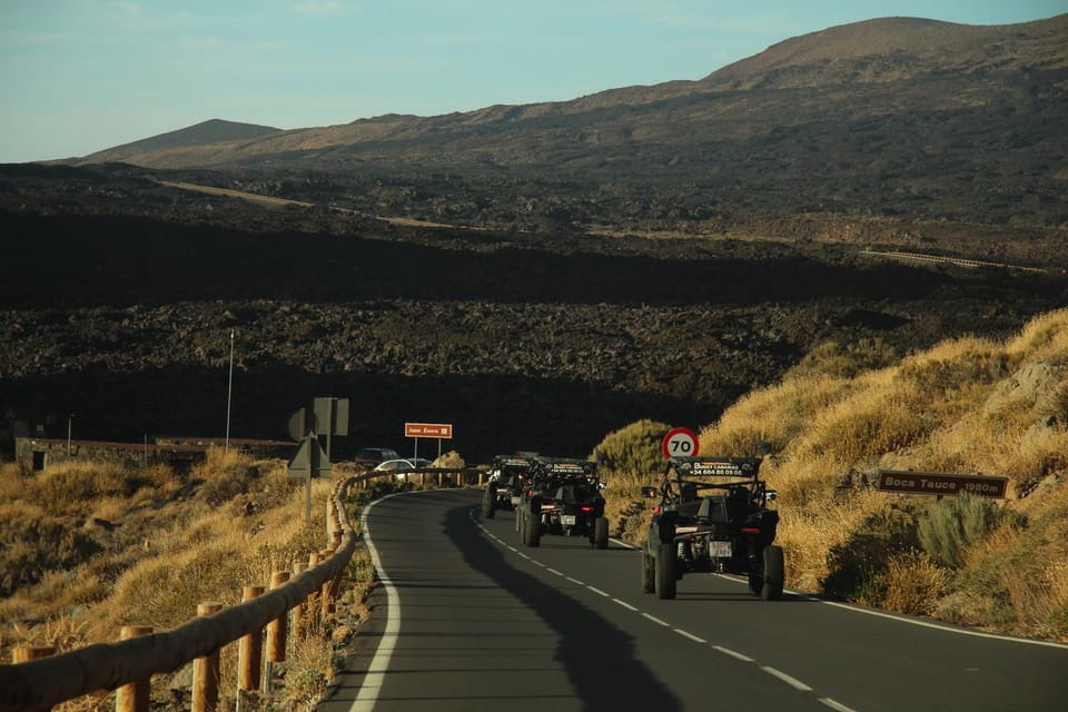 Tenerife: Morning or Sunset Teide Buggy Tour - Teide National Park by buggy: plants, wildlife, and the clouds
