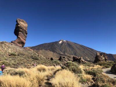 Tenerife: Mount Teide, Masca, Icod and Garachico Day Trip - Icod de los Vinos: the Dragon Tree and your lunch timing