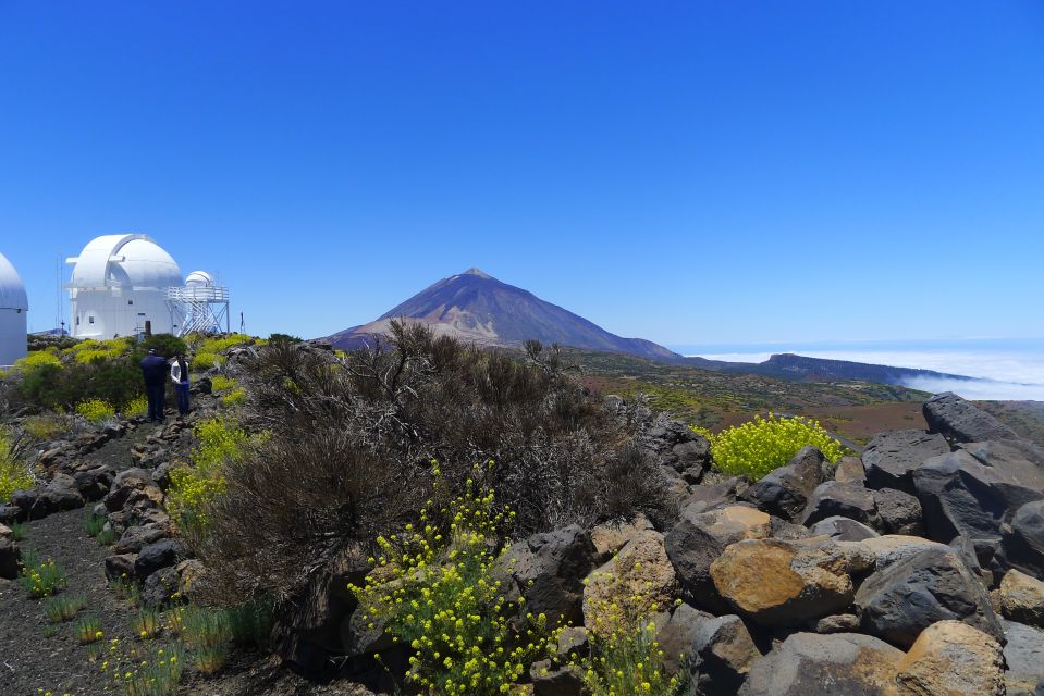 Tenerife: Mount Teide Observatory Astronomical Tour - Key points before you go