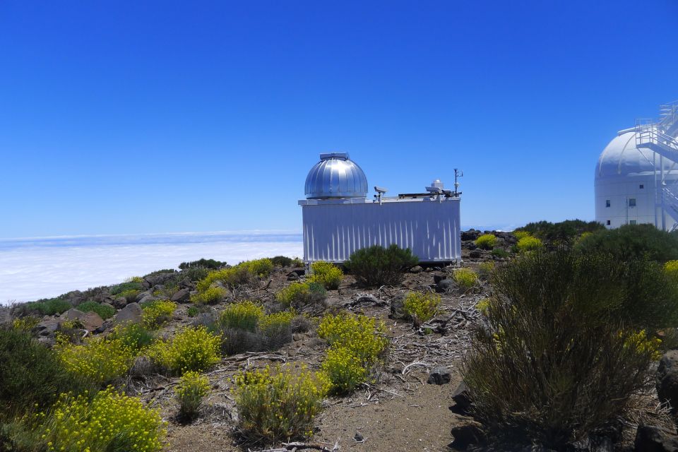 Tenerife: Mount Teide Observatory Guided Tour - Who Should Book This Tour (and Who Might Skip)