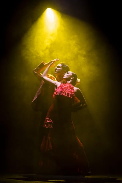 Tenerife : Olé Flamenco Show by Fran Chafino Ticket - Las Olas Showroom at GF Victoria: a hotel venue with real stage proximity