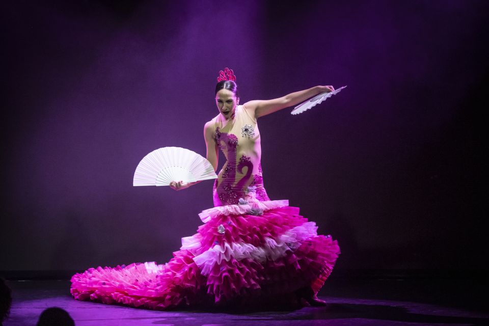 Tenerife : Olé Flamenco Show by Fran Chafino Ticket - Who this Olé show suits best on Tenerife