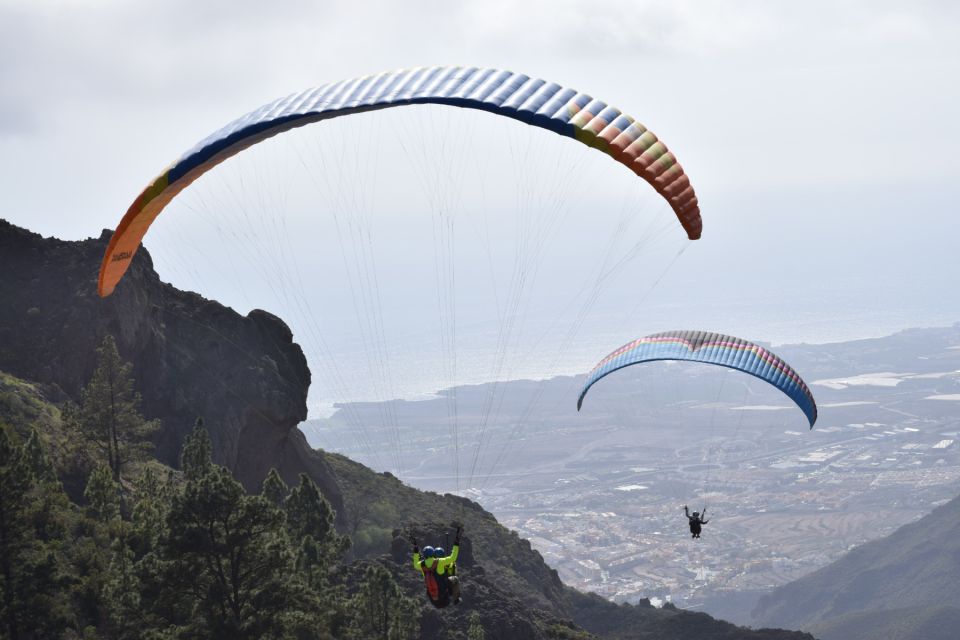 Tenerife: Paragliding Flight - What Makes This Paragliding Flight Worth It