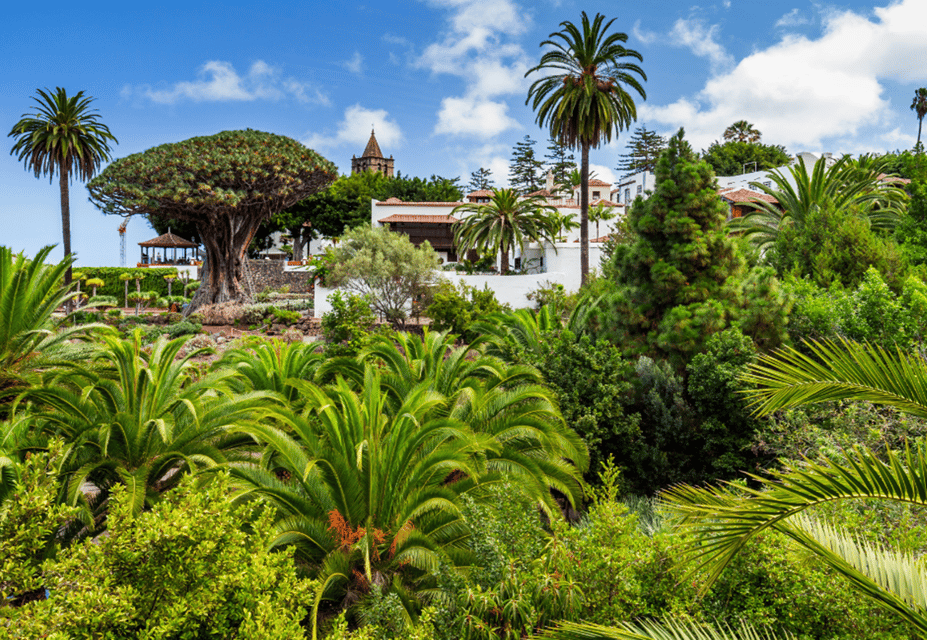 Tenerife: Private Day Tour of the Island with Hotel Pickup - Key highlights you’ll actually care about