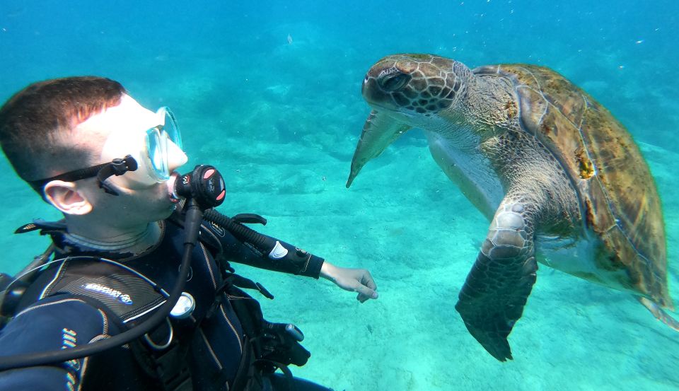 Tenerife: Puerto Colon Discover Scuba Diving Trip - Key things to know before you go