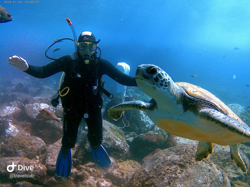 Tenerife: Puerto Colon Discover Scuba Diving Trip - Getting started at Travel Sub: what to expect at check-in
