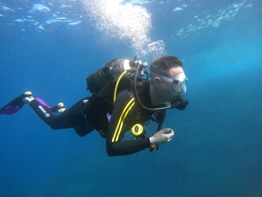 Tenerife: Puerto Colon Discover Scuba Diving Trip - PADI DSD certificate: what you actually gain