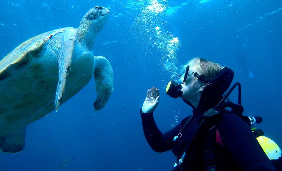 Tenerife: Puerto Colon Discover Scuba Diving Trip - Gear and mask reality: what to bring and what to plan around