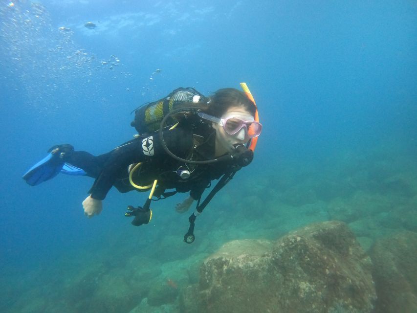 Tenerife: Puerto Colon Discover Scuba Diving Trip - Who this is best for (and who should skip it)