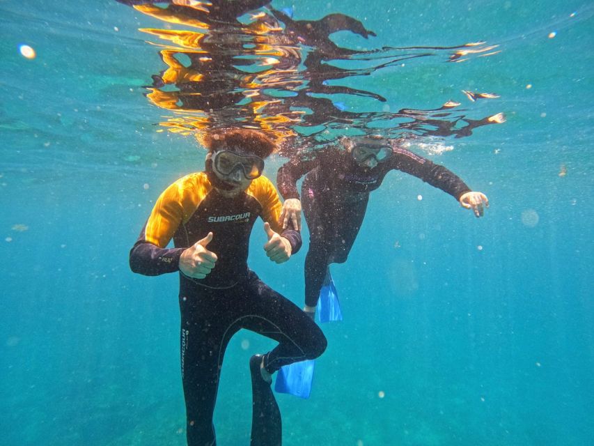Tenerife: Puerto Colon Snorkel Safari by Speed Boat - The speedboat ride: fast access to the good water